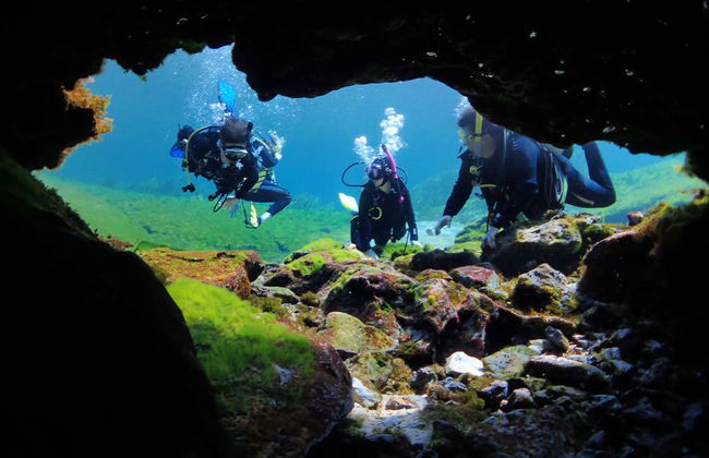 Immersione nel Rainbow River - Foto 7