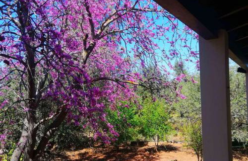 Agrilis Cottage near the beach - Foto 42