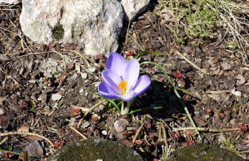 Haus Wald-Eck - Foto 19