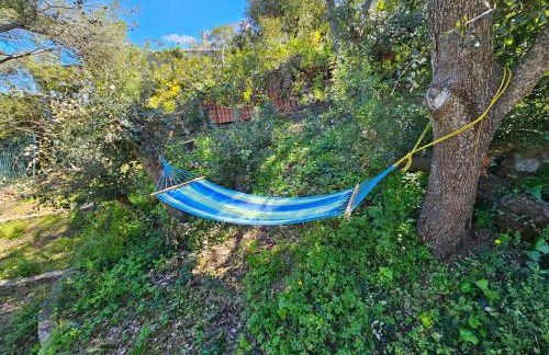 Montagne vue panoramique sur mer - Foto 34