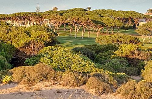 Ancão Beach Apartment - Photo 21