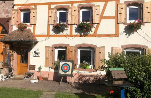 Maison pittoresque à Sainte-Croix-aux-Mines, vue sur la montagne - Foto 75