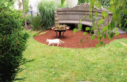 Ferienwohnung Anno1898 Zittau - Foto 3