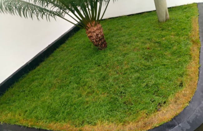 Mkamiti Villa Airport Hotel - Photo 27