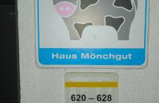 Ostseetraum-Sellin - Foto 5