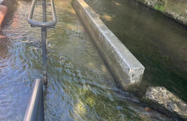 Über den Dächern von Nördlingen 75 qm - Foto 33