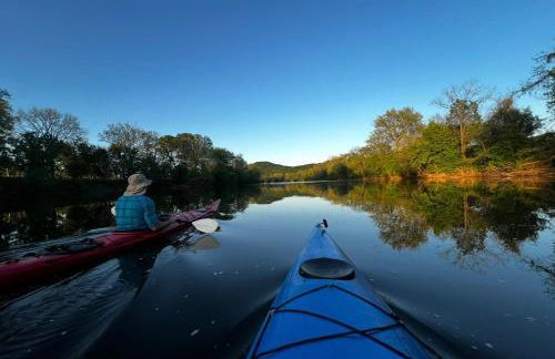 Foxhole Cabin, New 30 day stay custom log cabin in Shenandoah Valley - Foto 11