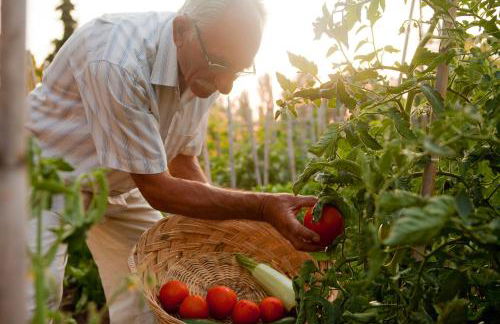 Haus Risos Next Generation - Foto 14