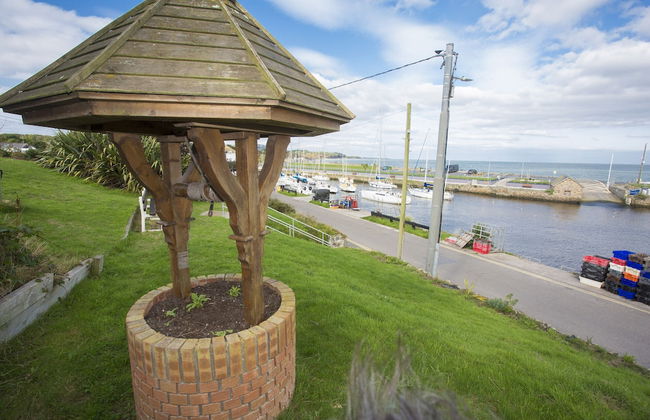 Forest Park HH No 4 - Foto 20