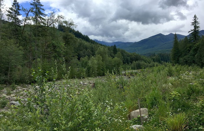 12GS - BBQ - WiFi - Dishwasher - Sleeps 4 - Foto 17