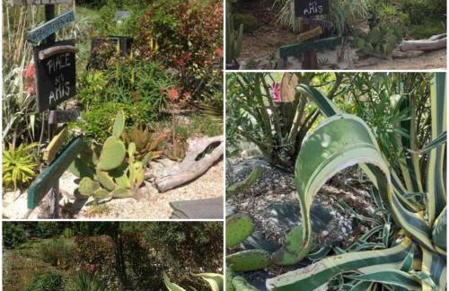 Gers habitation - Photo 14