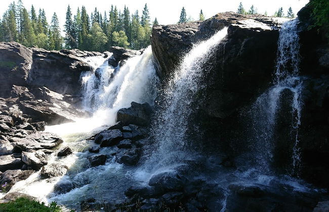 Ristafallets camping - Photo 24