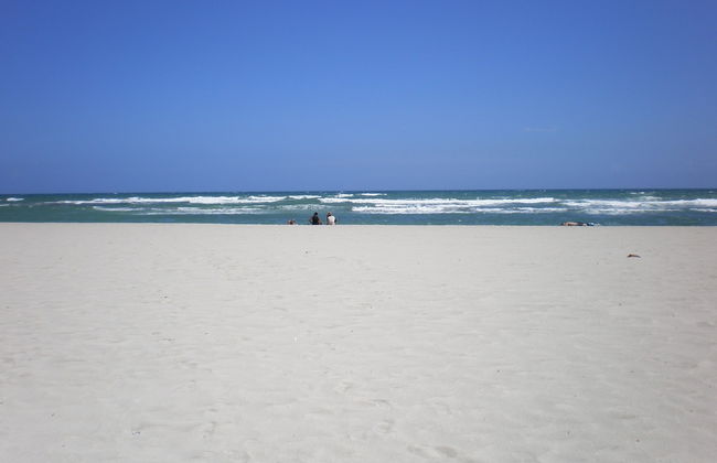 Plaza Real Resort - Foto 47