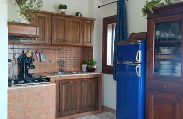 Abete Bianco - Photo 6