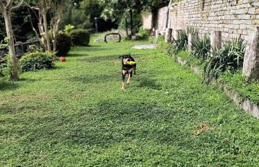 Mid of Nature ' Bella Vista Lago Maggiore charmant mit traumhaften Seeblick, Terrasse und großen Garten - Foto 17