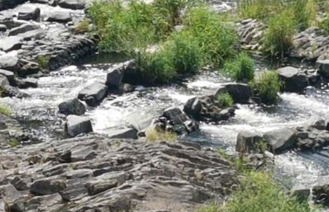 Holiday Home in the Rosbachtal - Foto 44