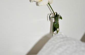 Villa Alegria - Foto 9