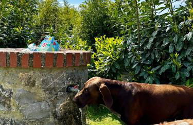 Il Villino del Daino - Toscana - Foto 23