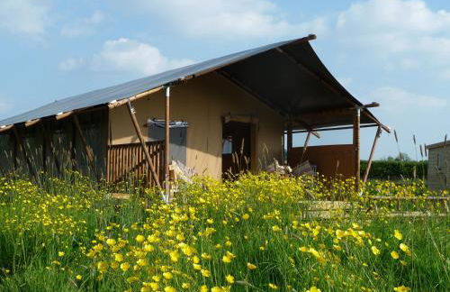 Pippin Lodge - Photo 1