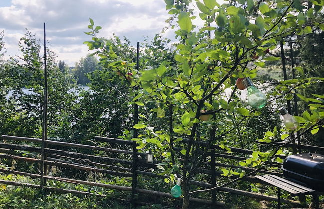 Tiny hut in the Forest Overlooking the River - Photo 28