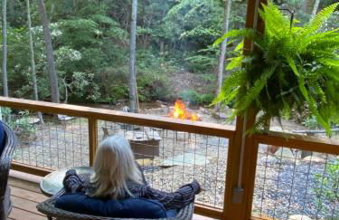 Beech Creek Cabin, lower unit, Black Mountain - Foto 14