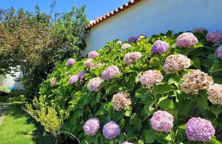 Casa do Patio - Très charmante villa 12 personnes 5ch avec piscine - Foto 38