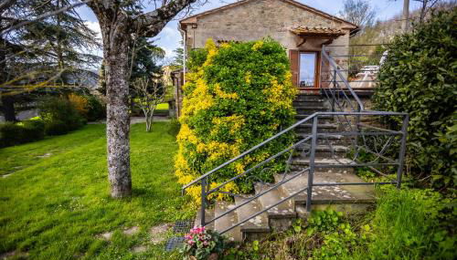 Il Casale Mugello - Affitti Brevi Italia - Foto 5, Garden