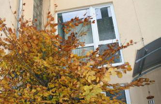 ApartPeterstor - Foto 11