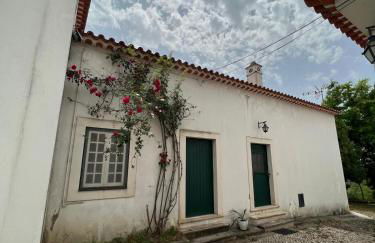 Santuário SOS Animal - Foto 20