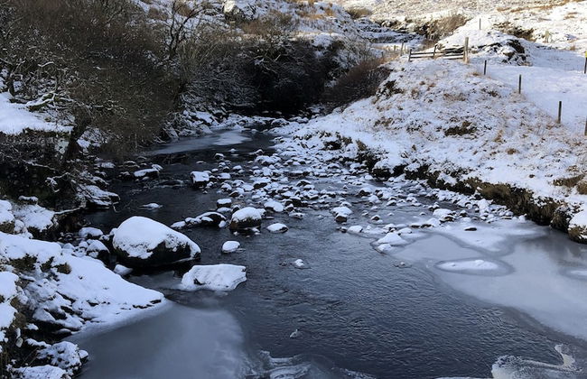 Lochedge Lodge - Photo 25