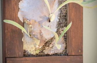 Moonglow Cottage - Foto 26