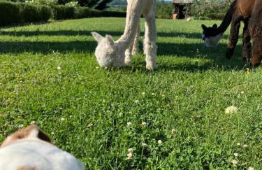 Villa Rignana - The Tuscan Collection - Foto 6