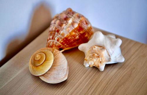 Villa Nina Amalfi - Photo 66