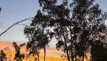 La Cabaña del Paito - Photo 5