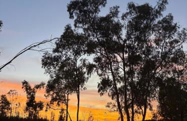 La Cabaña del Paito - Foto 5