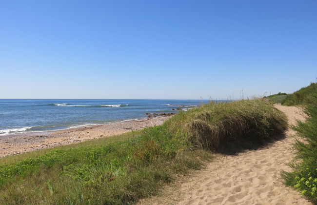 Le Goeland Argenté - Foto 20