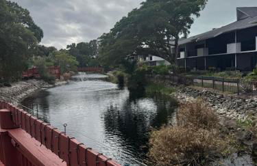 Beautiful Updates - Relaxing Views - Close to Pool - Foto 15