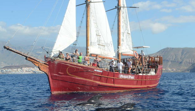 Naviguez à bord d'une goélette dans le sud de Tenerife