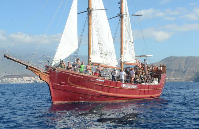 Schooner Whale Watching Cruise - Photo 2