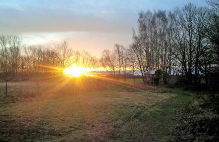 Ferienhof Idyll am kleinen Fließ - Foto 7