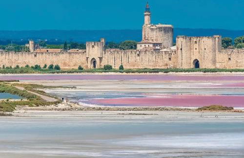 La Maison du Trident en Camargue Piscine et Jacuzzi - Foto 60