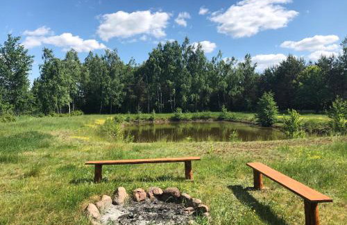 Sosnówka - dom wypoczynkowy na Kurpiach - Foto 31