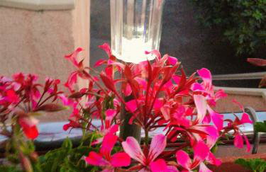 Apartment Trsina - Photo 2