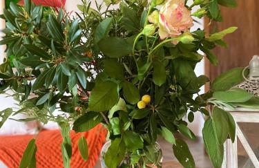 Mas de la Sacristière - Photo 46