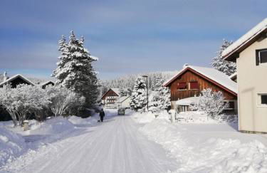 Le Chalet des Pas Sages - Foto 1