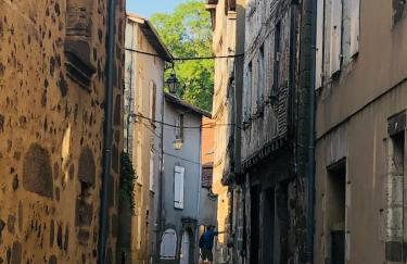 Gite Coccinelle in the medieval town of Confolens - Foto 35