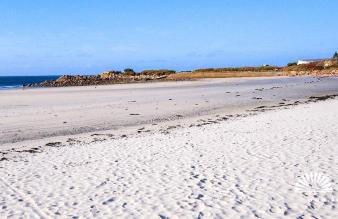 Grand LARGE FACE A LA PLAGE TRESTEL - Foto 16