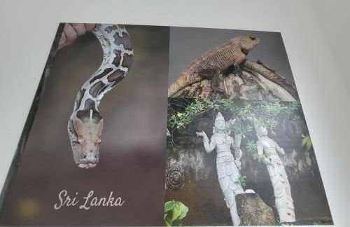 Ferienwohnung Casa Di Lago - Foto 15