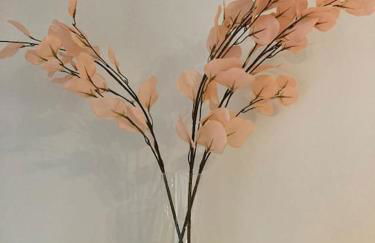 Appartement ComfortZone im Harz mit Sauna und Pool - Foto 3