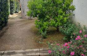 Location appartement les pieds dans l'eau, Résidence Aqua Linda à Poggio-Mezzana - Foto 34